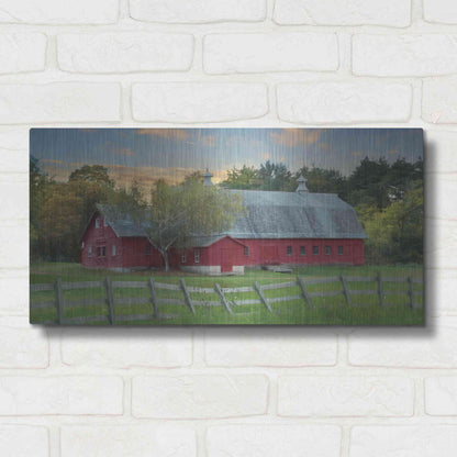 Luxe Metal Art 'Fenced In' by Lori Deiter, Metal Wall Art,24x12