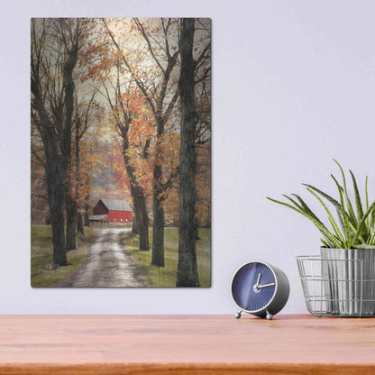 Luxe Metal Art 'On Those Country Roads' by Lori Deiter, Metal Wall Art,12x16