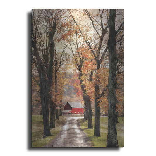 Luxe Metal Art 'On Those Country Roads' by Lori Deiter, Metal Wall Art