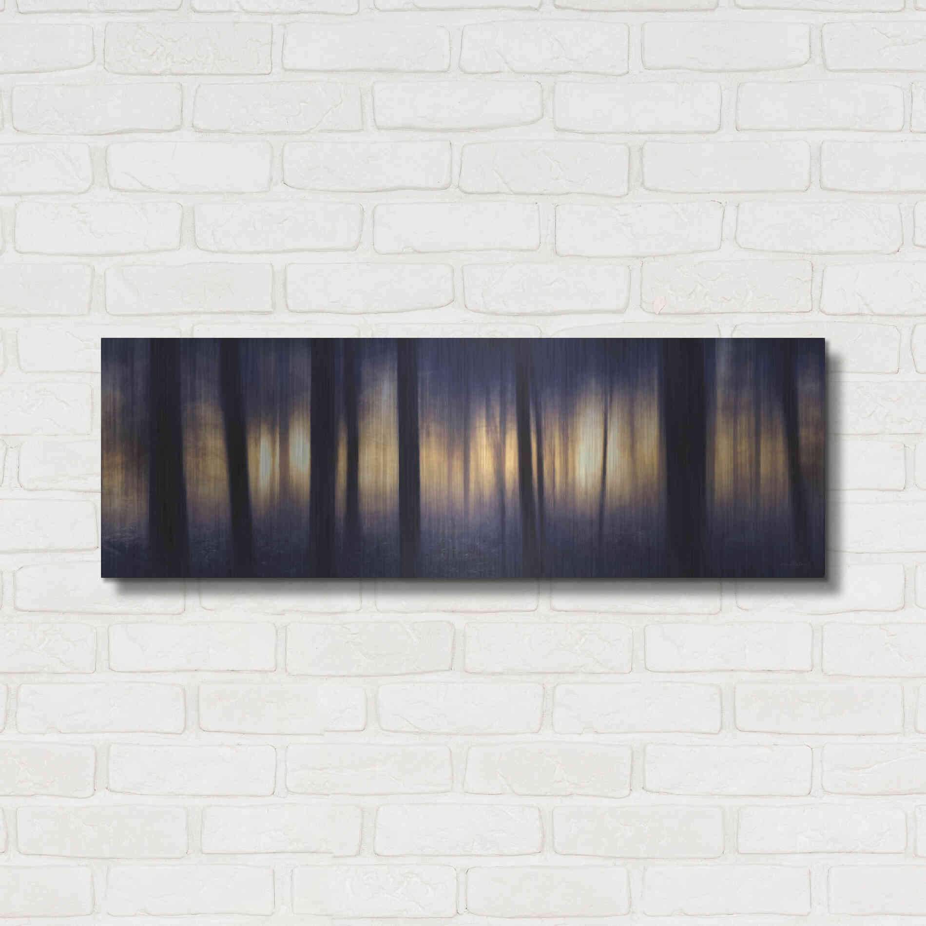 Luxe Metal Art 'Edge of the Forest' by Lori Deiter, Metal Wall Art,36x12