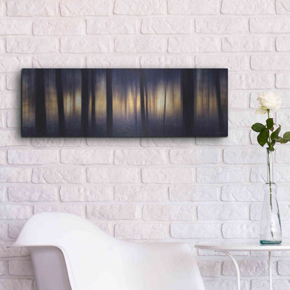 Luxe Metal Art 'Edge of the Forest' by Lori Deiter, Metal Wall Art,36x12