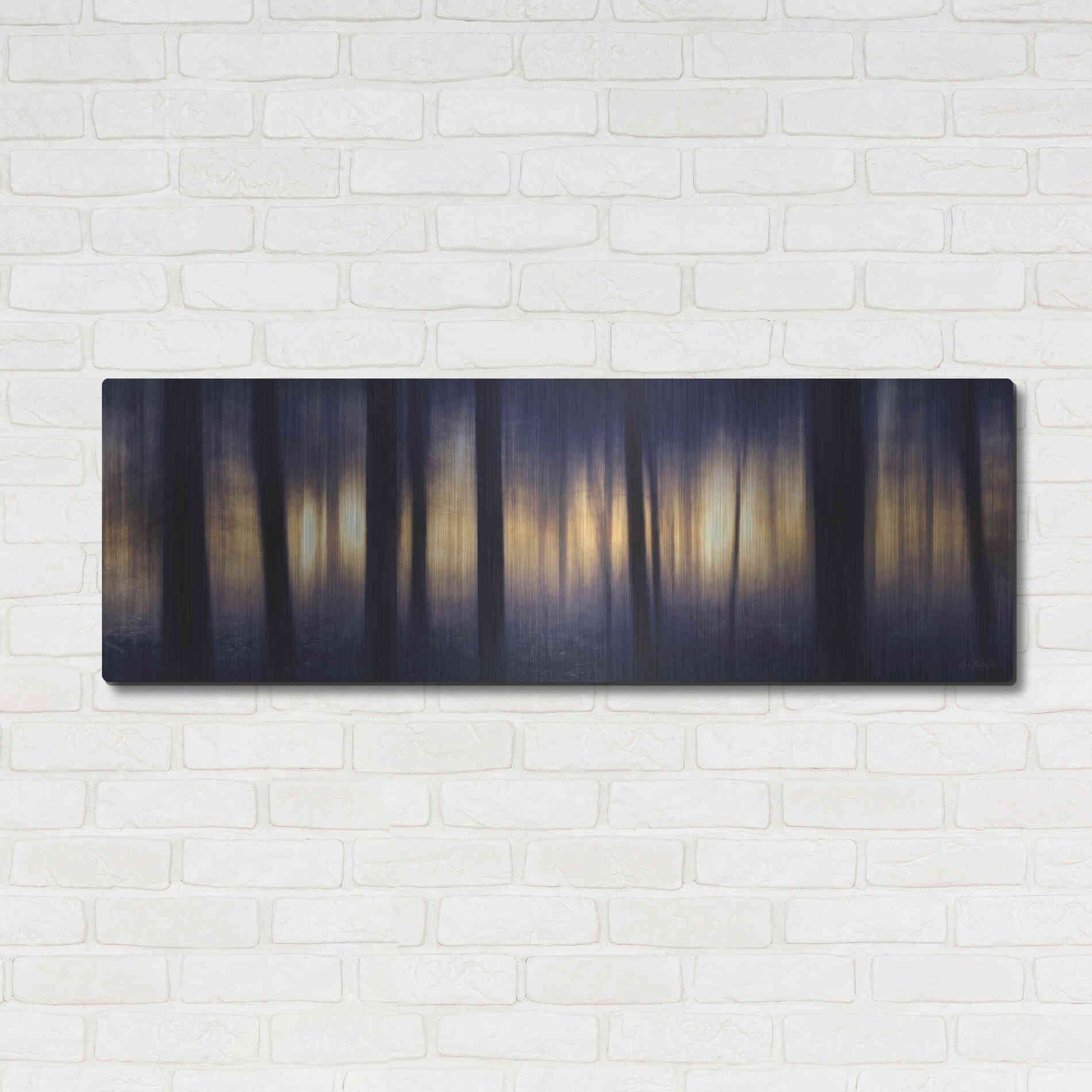 Luxe Metal Art 'Edge of the Forest' by Lori Deiter, Metal Wall Art,48x16