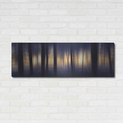 Luxe Metal Art 'Edge of the Forest' by Lori Deiter, Metal Wall Art,48x16
