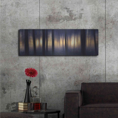 Luxe Metal Art 'Edge of the Forest' by Lori Deiter, Metal Wall Art,48x16