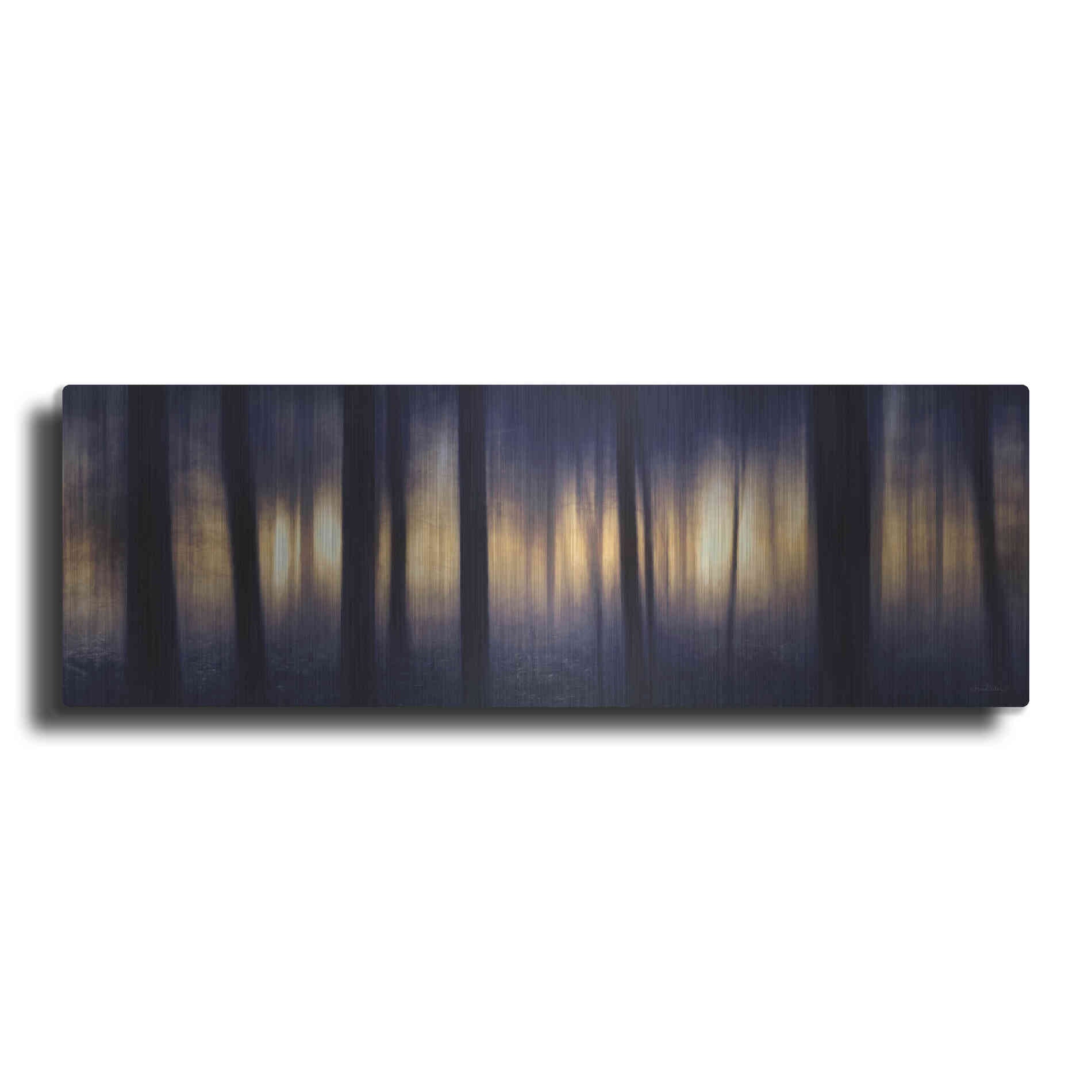 Luxe Metal Art 'Edge of the Forest' by Lori Deiter, Metal Wall Art