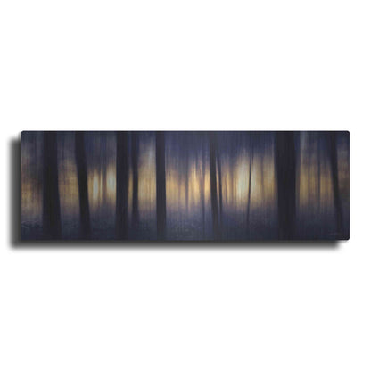 Luxe Metal Art 'Edge of the Forest' by Lori Deiter, Metal Wall Art