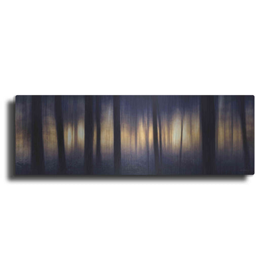 Luxe Metal Art 'Edge of the Forest' by Lori Deiter, Metal Wall Art