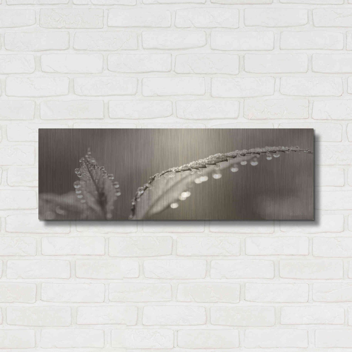 Luxe Metal Art 'Dewey Morning' by Lori Deiter, Metal Wall Art,36x12