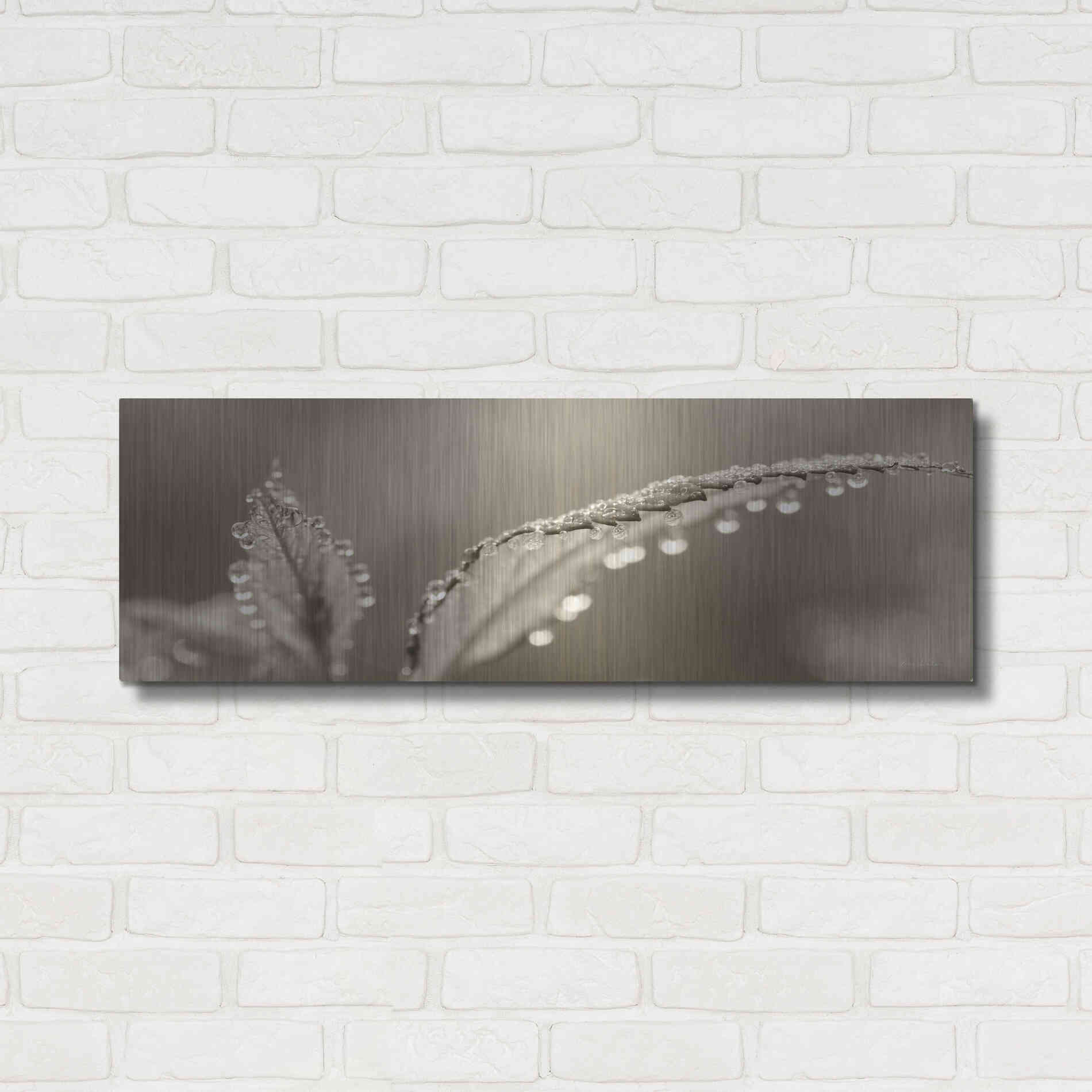 Luxe Metal Art 'Dewey Morning' by Lori Deiter, Metal Wall Art,36x12