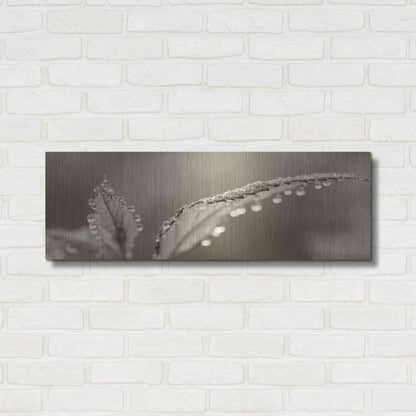 Luxe Metal Art 'Dewey Morning' by Lori Deiter, Metal Wall Art,36x12