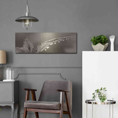 Luxe Metal Art 'Dewey Morning' by Lori Deiter, Metal Wall Art,36x12