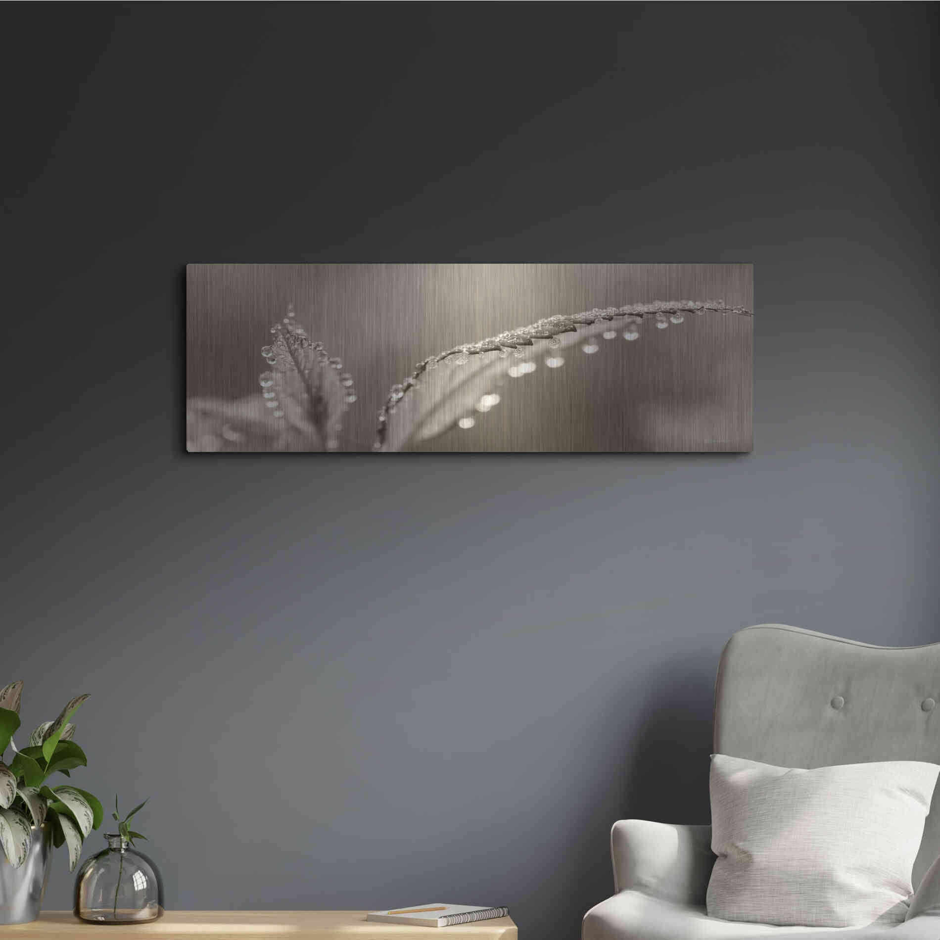 Luxe Metal Art 'Dewey Morning' by Lori Deiter, Metal Wall Art,36x12