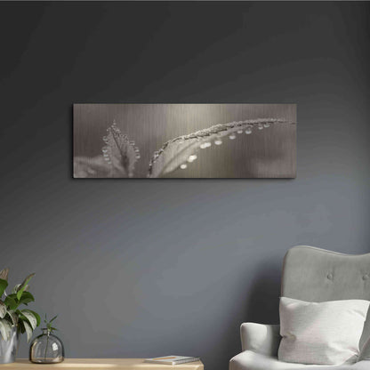 Luxe Metal Art 'Dewey Morning' by Lori Deiter, Metal Wall Art,36x12