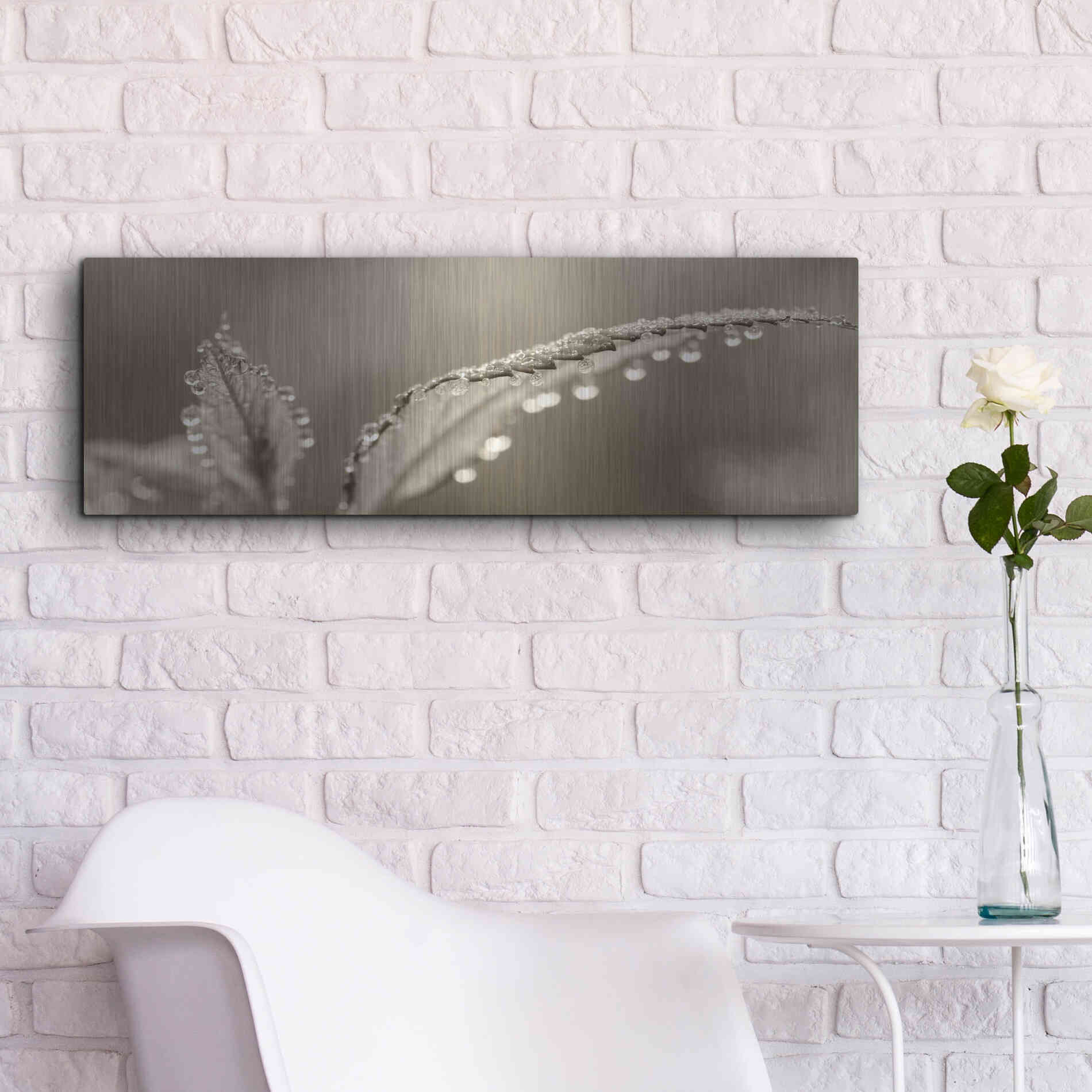 Luxe Metal Art 'Dewey Morning' by Lori Deiter, Metal Wall Art,36x12
