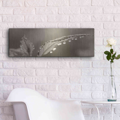 Luxe Metal Art 'Dewey Morning' by Lori Deiter, Metal Wall Art,36x12
