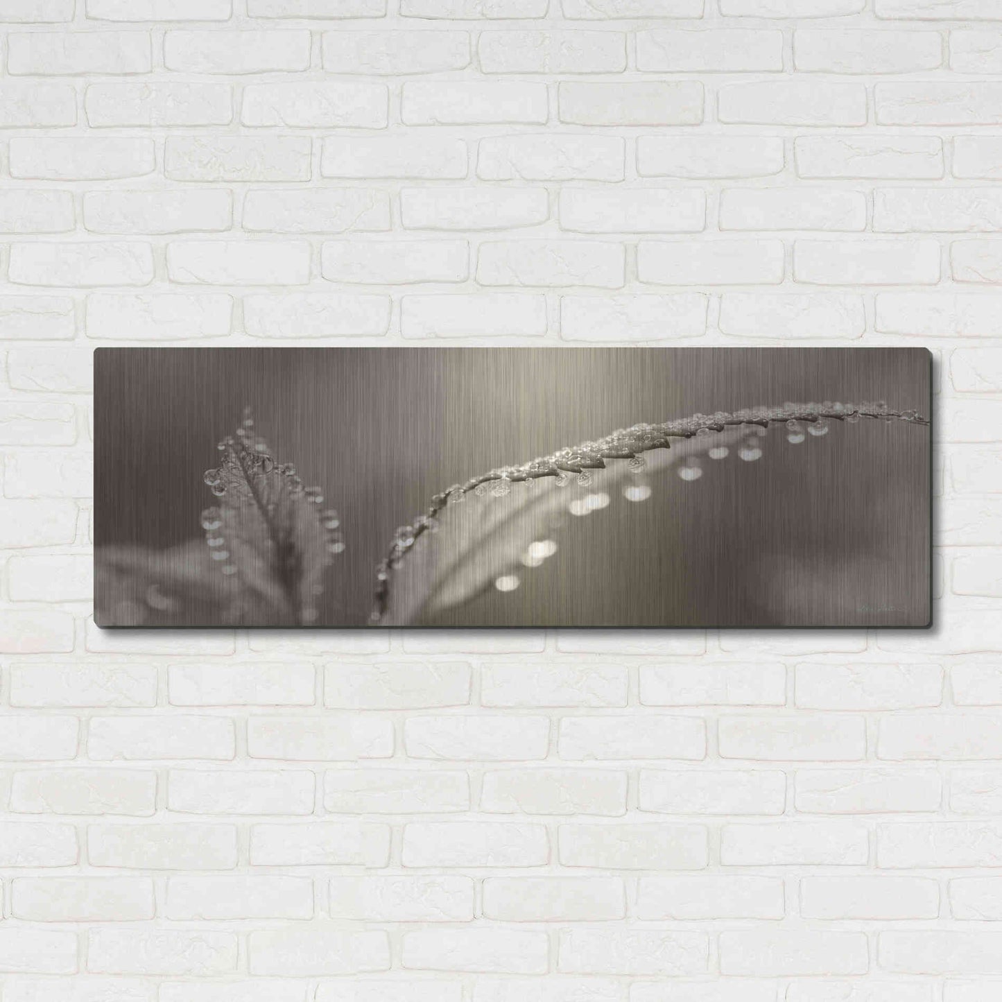Luxe Metal Art 'Dewey Morning' by Lori Deiter, Metal Wall Art,48x16