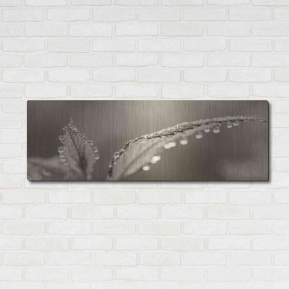 Luxe Metal Art 'Dewey Morning' by Lori Deiter, Metal Wall Art,48x16
