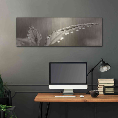 Luxe Metal Art 'Dewey Morning' by Lori Deiter, Metal Wall Art,48x16