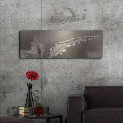 Luxe Metal Art 'Dewey Morning' by Lori Deiter, Metal Wall Art,48x16