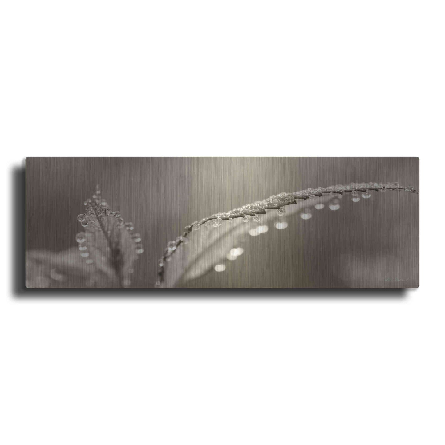 Luxe Metal Art 'Dewey Morning' by Lori Deiter, Metal Wall Art