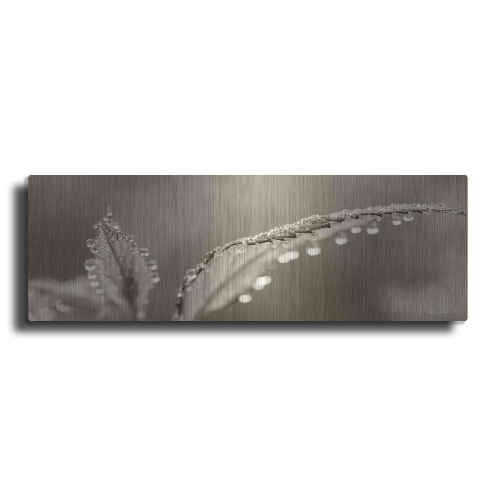 Luxe Metal Art 'Dewey Morning' by Lori Deiter, Metal Wall Art