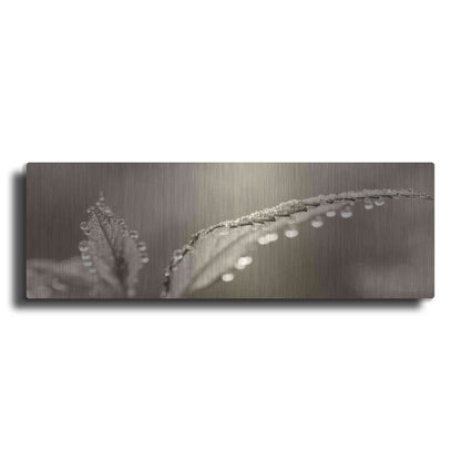 Luxe Metal Art 'Dewey Morning' by Lori Deiter, Metal Wall Art