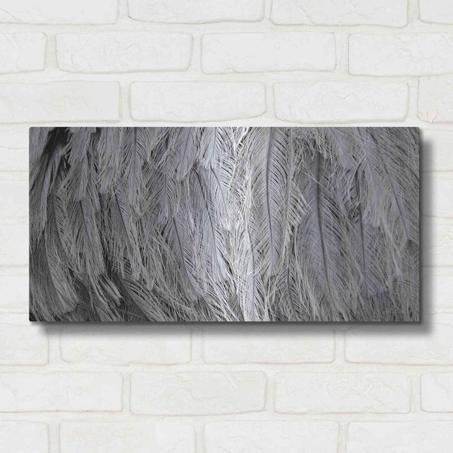 Luxe Metal Art 'Silver Feathers' by Lori Deiter, Metal Wall Art,24x12