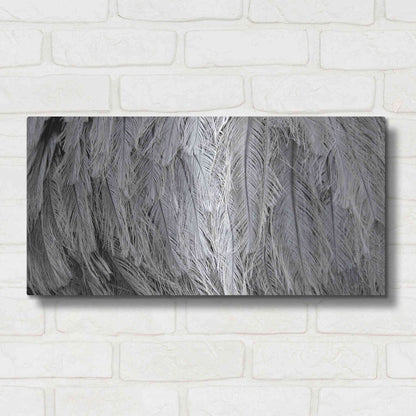 Luxe Metal Art 'Silver Feathers' by Lori Deiter, Metal Wall Art,24x12