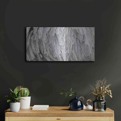 Luxe Metal Art 'Silver Feathers' by Lori Deiter, Metal Wall Art,24x12