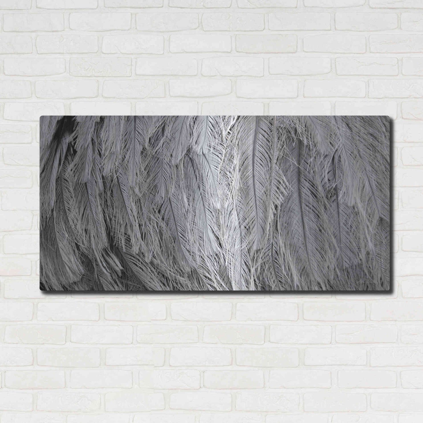 Luxe Metal Art 'Silver Feathers' by Lori Deiter, Metal Wall Art,48x24