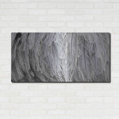 Luxe Metal Art 'Silver Feathers' by Lori Deiter, Metal Wall Art,48x24