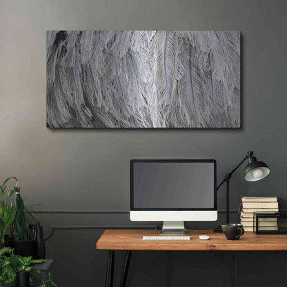 Luxe Metal Art 'Silver Feathers' by Lori Deiter, Metal Wall Art,48x24