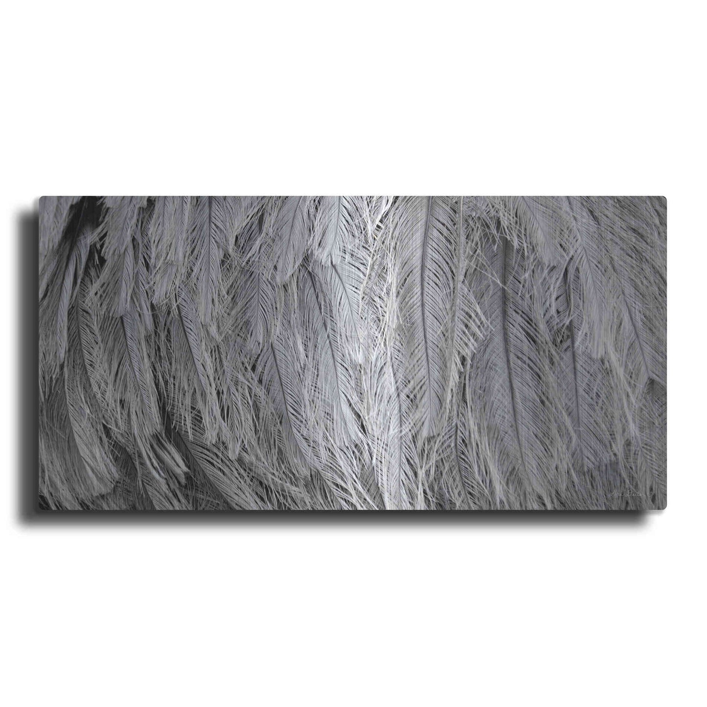 Luxe Metal Art 'Silver Feathers' by Lori Deiter, Metal Wall Art