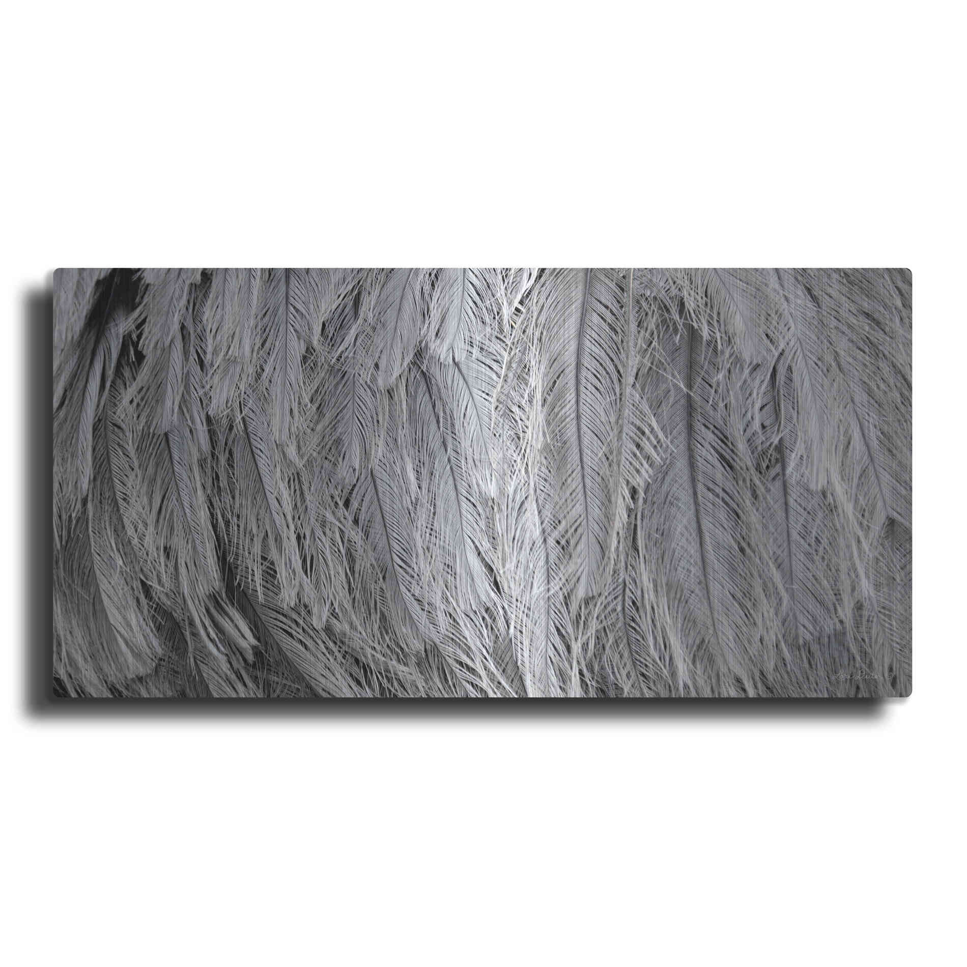 Luxe Metal Art 'Silver Feathers' by Lori Deiter, Metal Wall Art