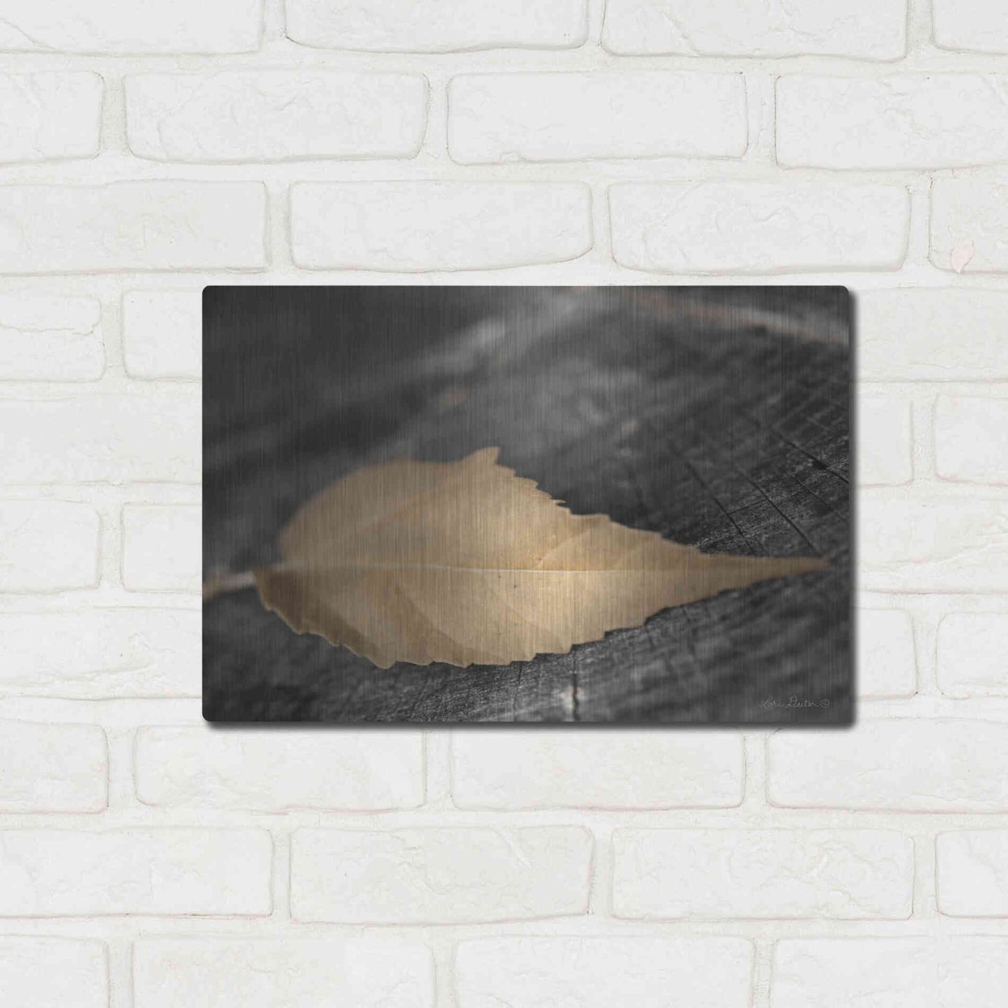 Luxe Metal Art 'Natural Gold Leaf' by Lori Deiter, Metal Wall Art,16x12