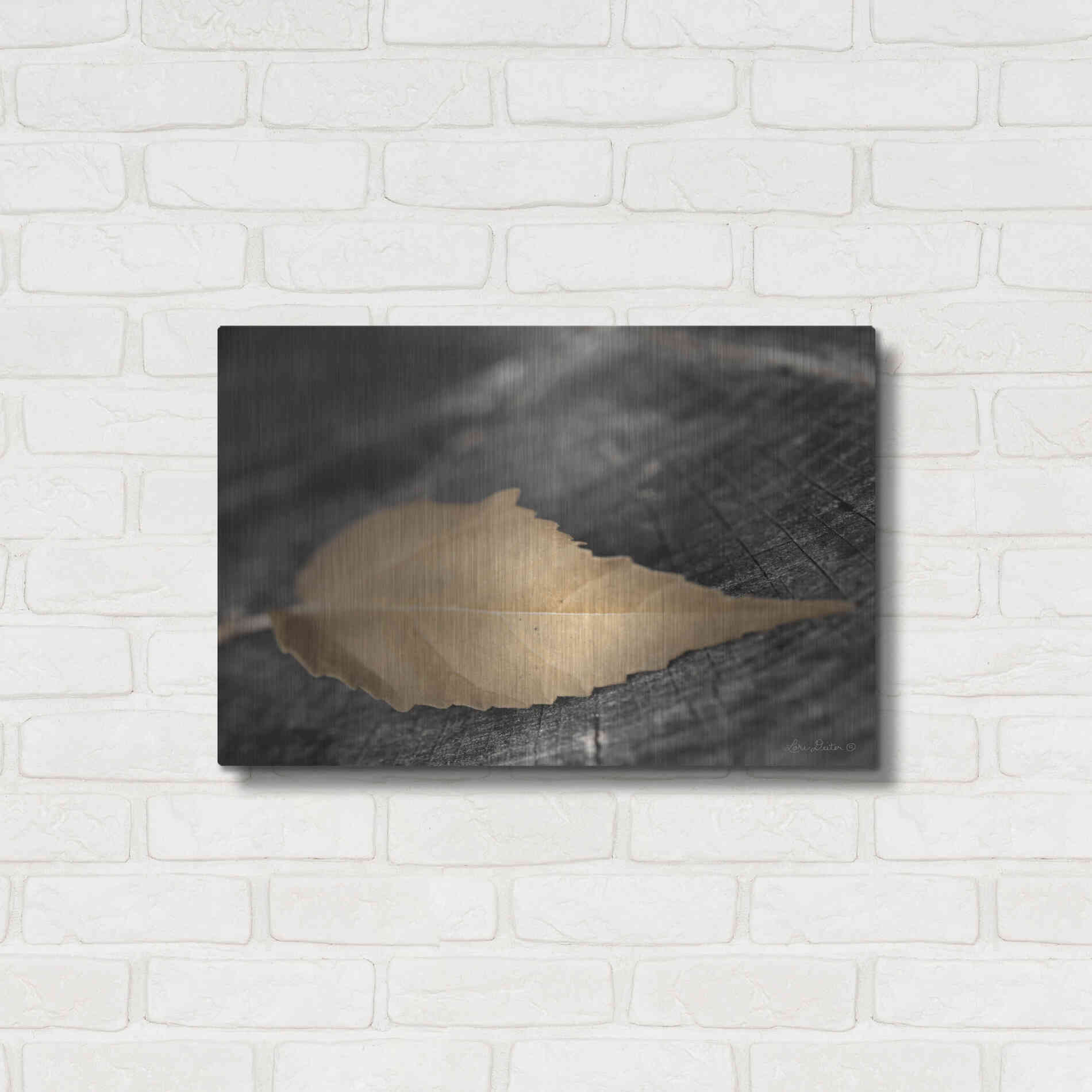 Luxe Metal Art 'Natural Gold Leaf' by Lori Deiter, Metal Wall Art,24x16