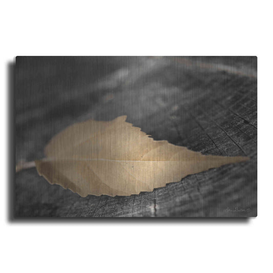Luxe Metal Art 'Natural Gold Leaf' by Lori Deiter, Metal Wall Art
