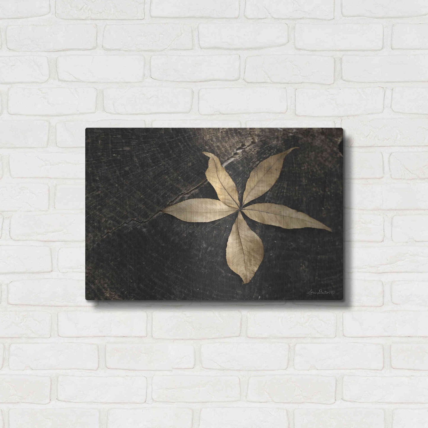 Luxe Metal Art 'Natural Buckeye Leaf' by Lori Deiter, Metal Wall Art,24x16