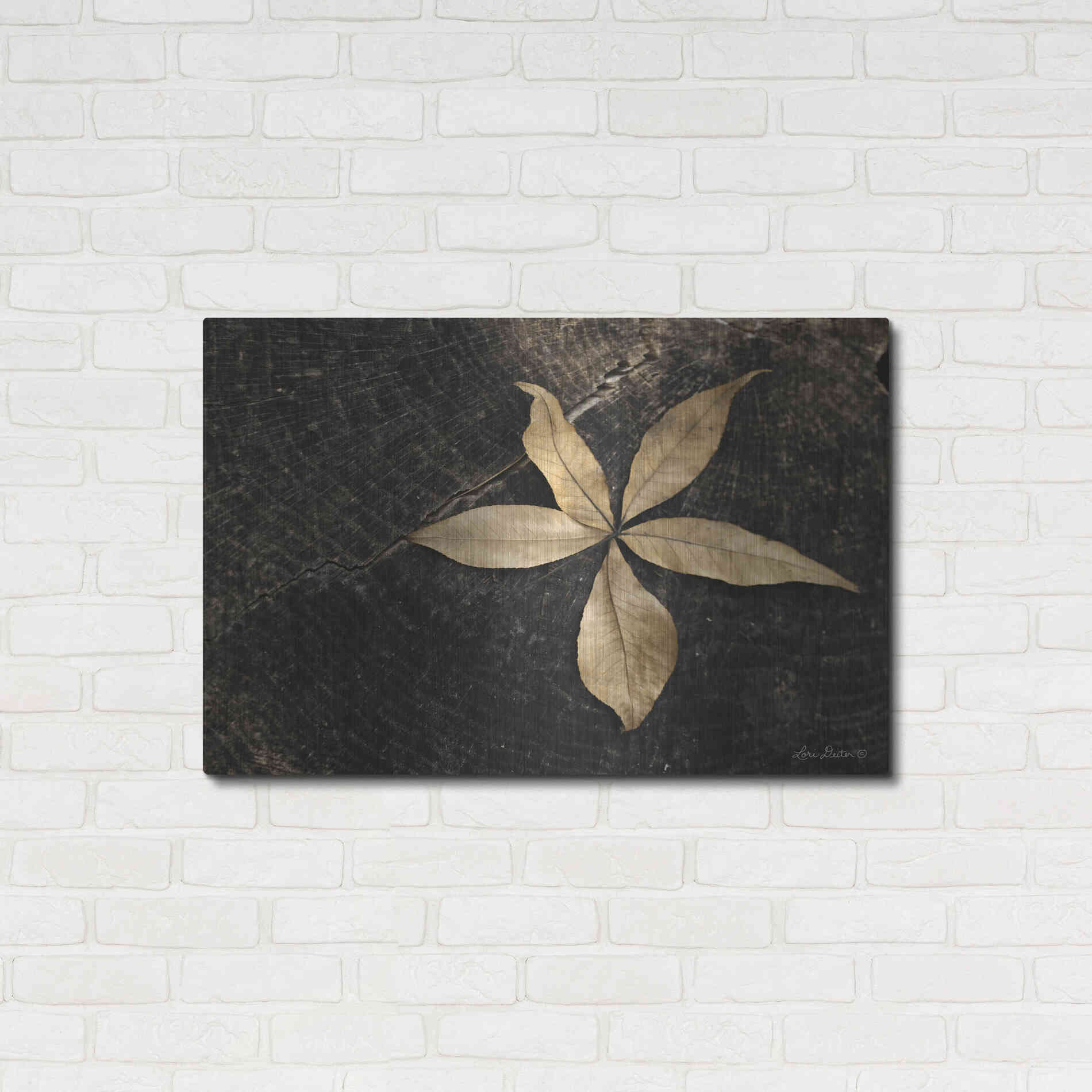 Luxe Metal Art 'Natural Buckeye Leaf' by Lori Deiter, Metal Wall Art,36x24