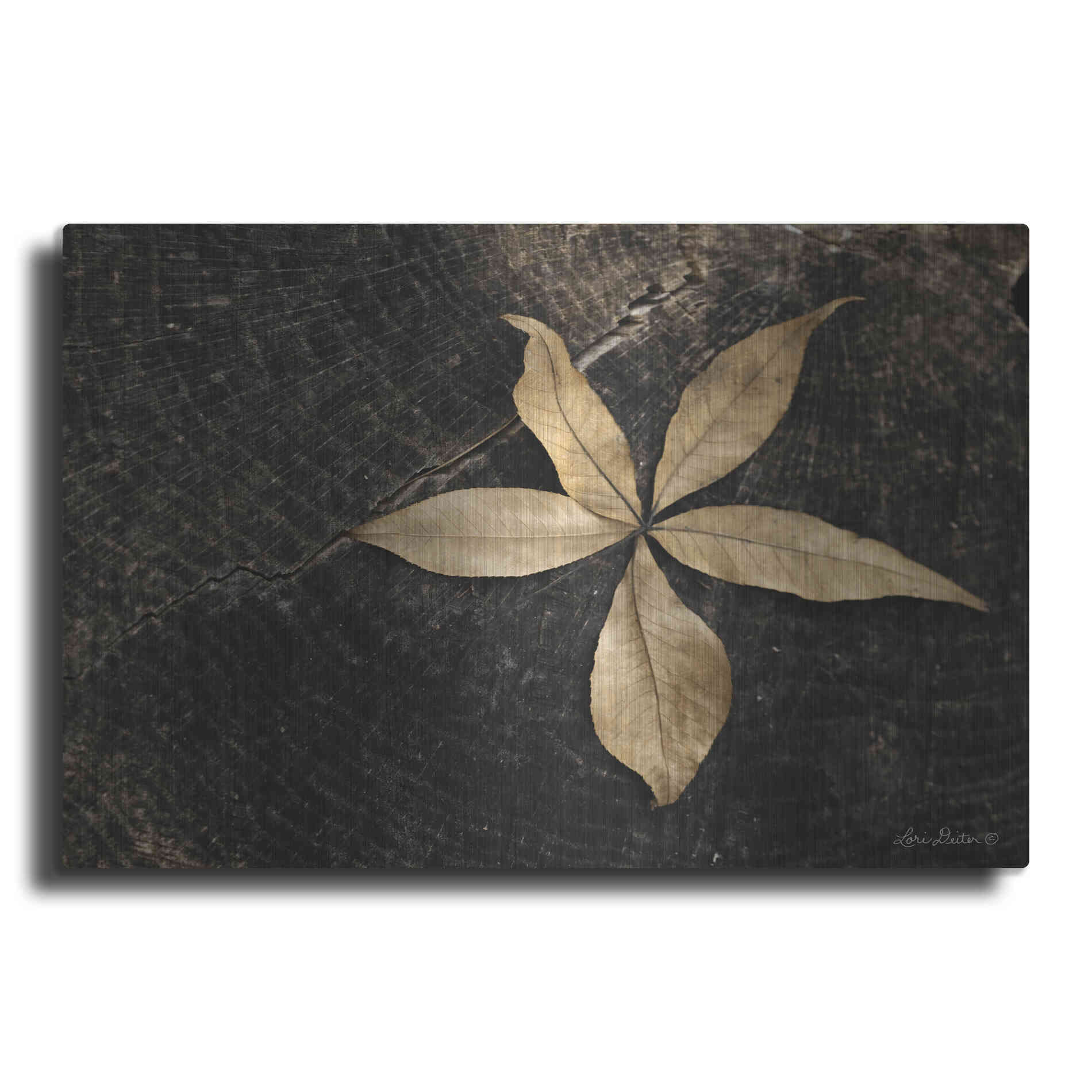 Luxe Metal Art 'Natural Buckeye Leaf' by Lori Deiter, Metal Wall Art