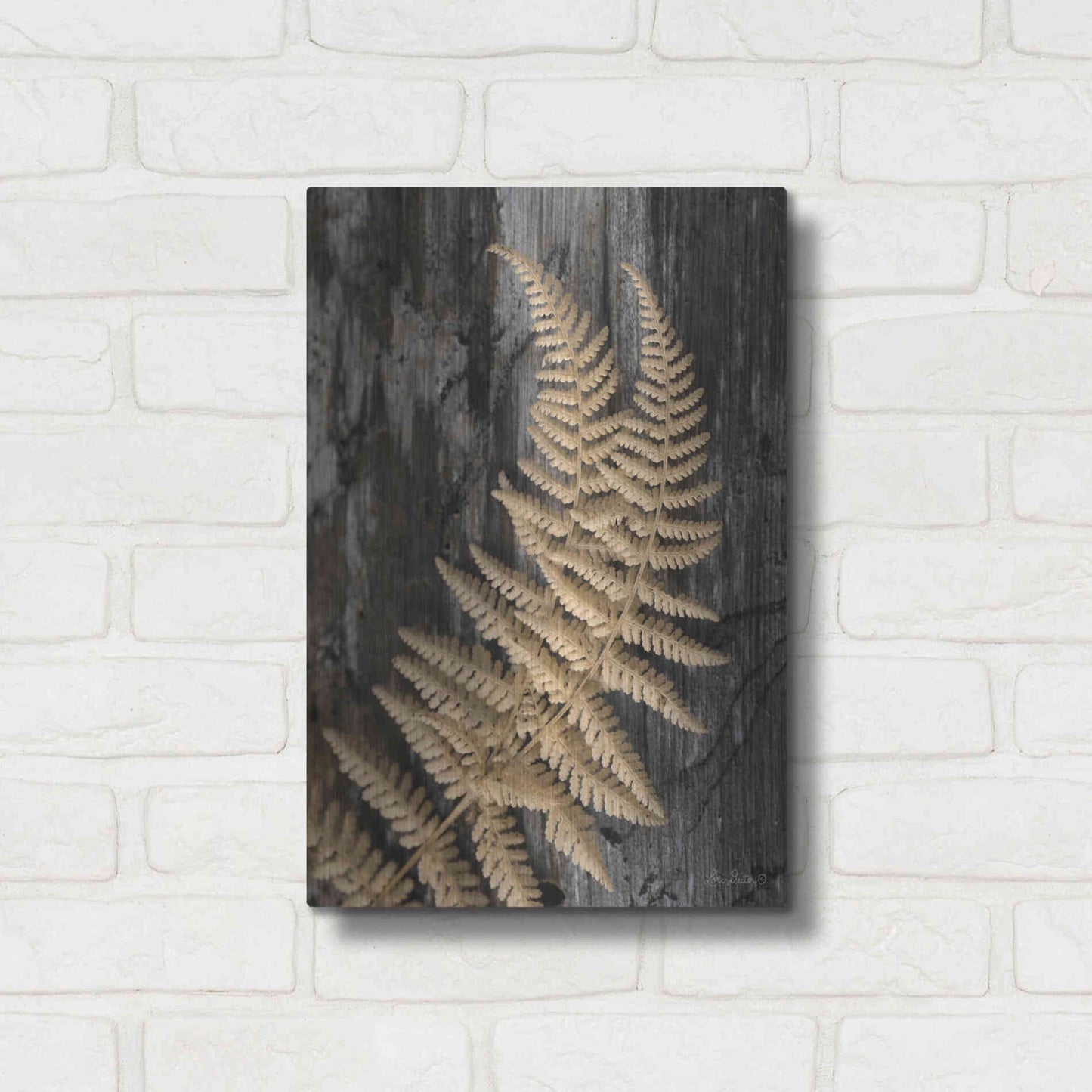 Luxe Metal Art 'Natural Gold Fern' by Lori Deiter, Metal Wall Art,12x16