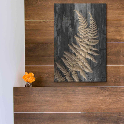 Luxe Metal Art 'Natural Gold Fern' by Lori Deiter, Metal Wall Art,12x16