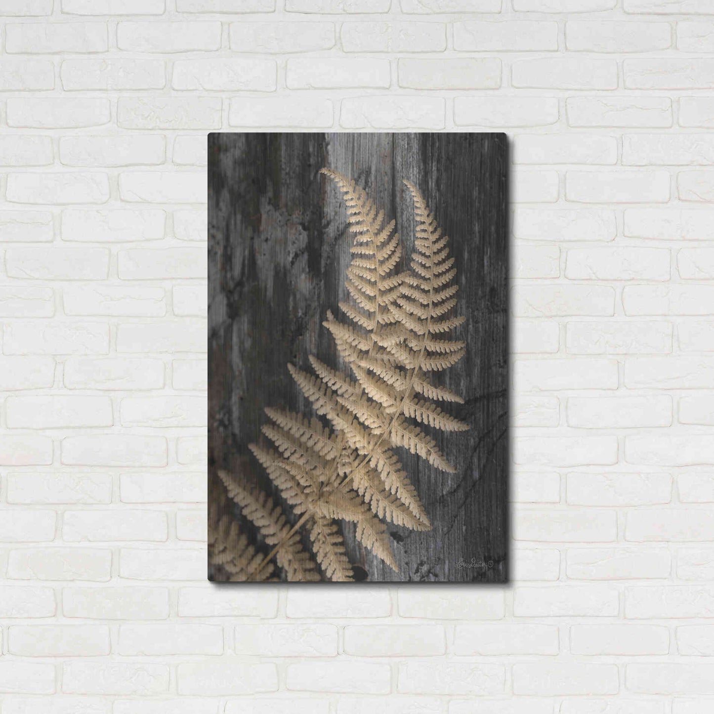 Luxe Metal Art 'Natural Gold Fern' by Lori Deiter, Metal Wall Art,24x36