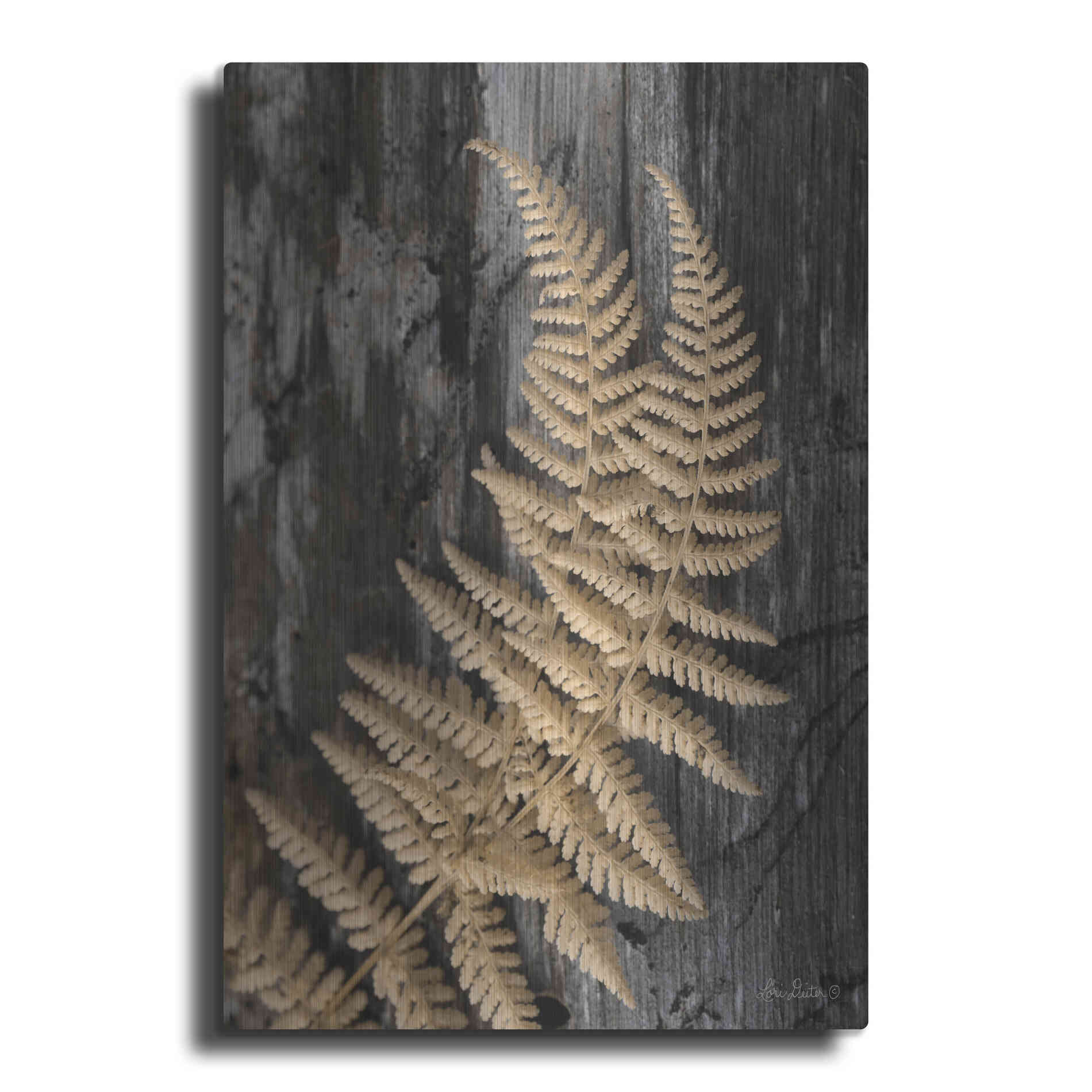 Luxe Metal Art 'Natural Gold Fern' by Lori Deiter, Metal Wall Art