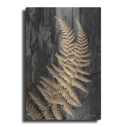 Luxe Metal Art 'Natural Gold Fern' by Lori Deiter, Metal Wall Art