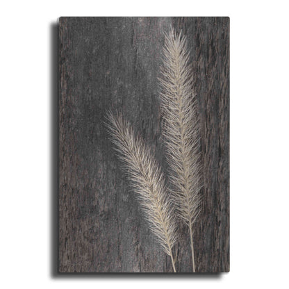 Luxe Metal Art 'Natural Wheat' by Lori Deiter, Metal Wall Art