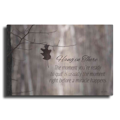 Luxe Metal Art 'Hang in There' by Lori Deiter, Metal Wall Art