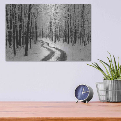 Luxe Metal Art 'Snowy Road' by Lori Deiter, Metal Wall Art,16x12
