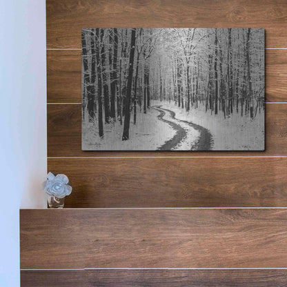 Luxe Metal Art 'Snowy Road' by Lori Deiter, Metal Wall Art,16x12