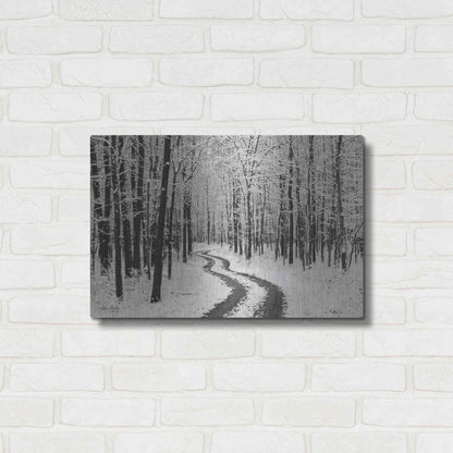 Luxe Metal Art 'Snowy Road' by Lori Deiter, Metal Wall Art,24x16